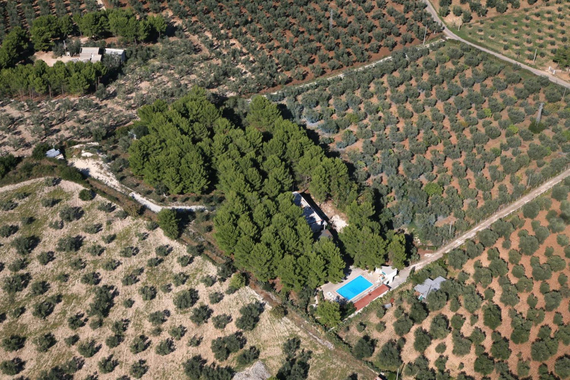 Residence San Luca Vieste Exterior photo
